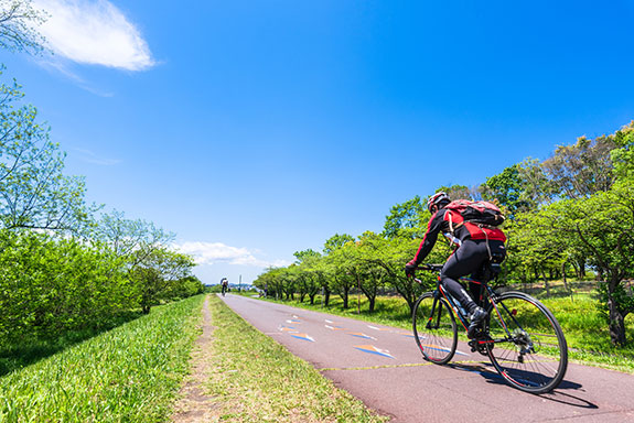 A&Nファイナリーはスポーツサイクル専門店です