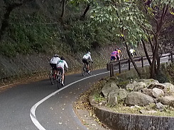 速いペースですね。選手が互いに牽制しつつ集団を引っぱっています。